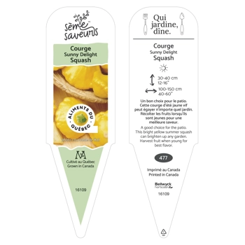 Plant de Courge Sunny Delight
