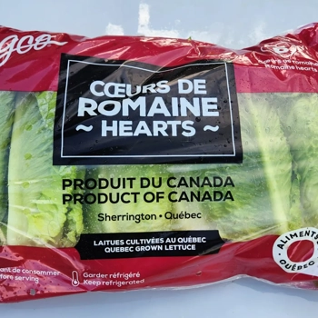 Coeur de romaine 6