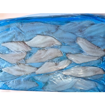 Filet de sébaste Shatter Pack (congelé en couche)