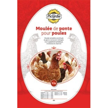 Moulée de ponte pour poule
