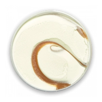 Butterscotch ripple ice cream