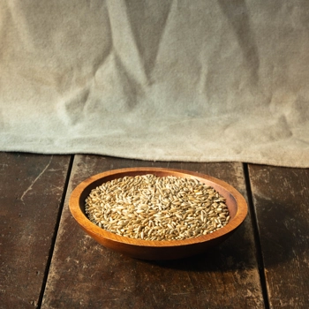 Seigle en grains - biologique
