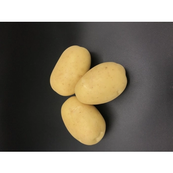 Pomme de terre jaune