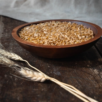 Blé de KAMUT en grains - biologique