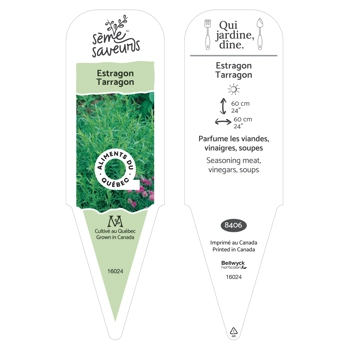 Plant d'Estragon