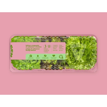 Crispy & salanova™ living lettuce - 3 heads of lettuce
