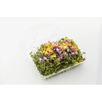 Micro mesclun