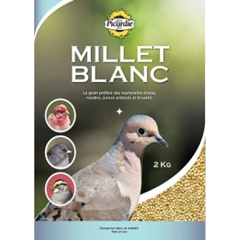 Millet blanc
