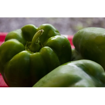 Green pepper bell