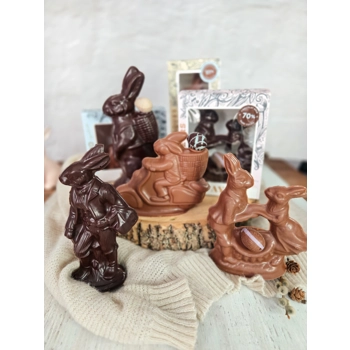 Molds of milk chocolat