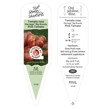 Plant de Tomate Heirloom Marriage Big Brandy