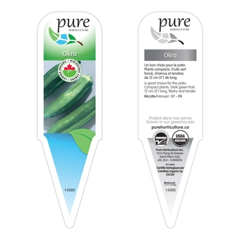 OKRA BIOLOGIQUE EN POT