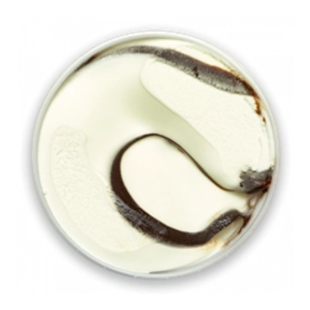 Fudge ripple ice cream