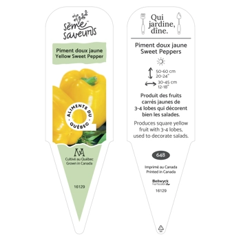 Plant de Piment jaune