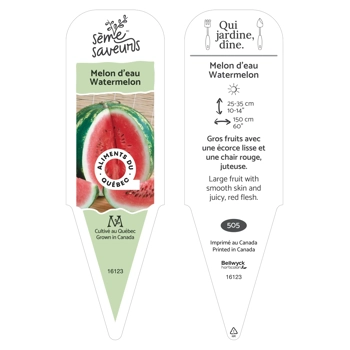 Plant de Melon d'eau