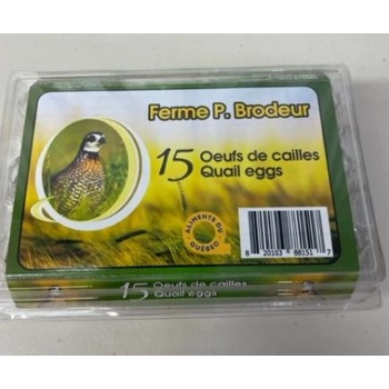 Oeuf de caille15