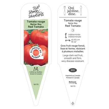Plant de Tomate Better Boy