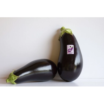 Aubergine  biologique