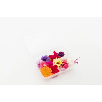 Fleurs comestibles variées