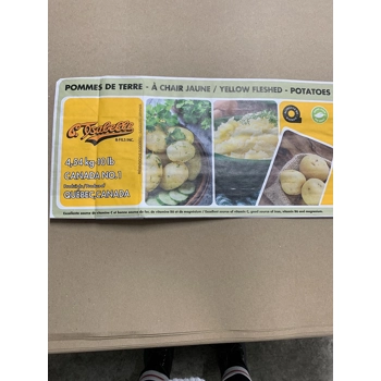 Pommes de terre jaune