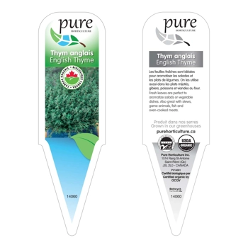 THYM ANGLAIS BIOLOGIQUE EN POT