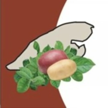 Pommes De Terre Garon Inc.