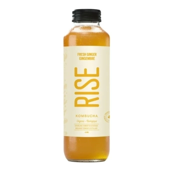 RISE Kombucha Gingembre