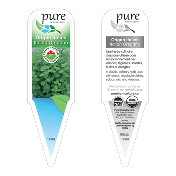 ORIGAN ITALIEN BIOLOGIQUE EN POT