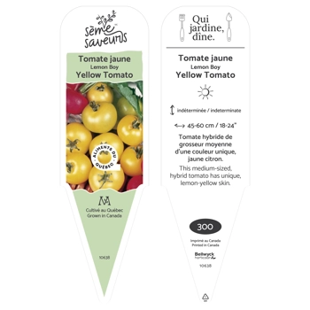 Plant de Tomate Lemon Boy