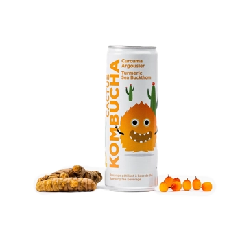 Kombucha curcuma & argousier