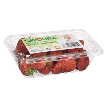 Fraises cultivées en serre