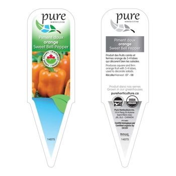 POIVRON   ORANGE (PIMENT DOUX BIOLOGIQUE EN POT)