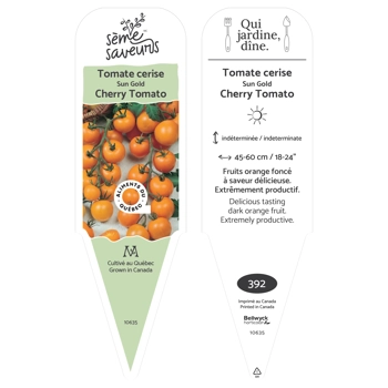 Sun Gold Tomatoe plant