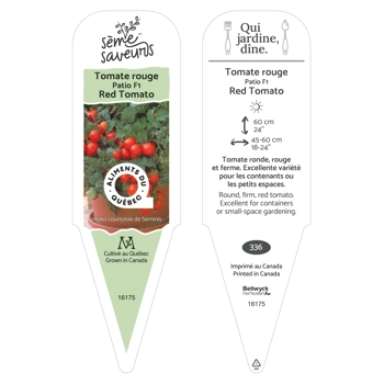 Plant de Tomate Patio F1