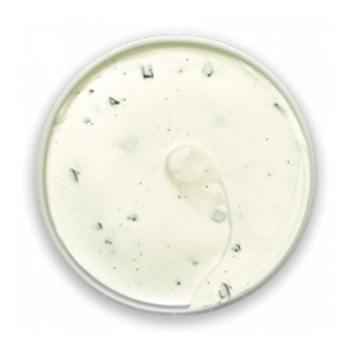 Crème glacée brisures de chocolat