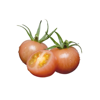 Pink Cherry Tomatoes