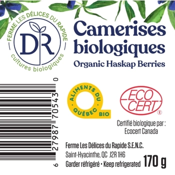 Fresh organic haskap berries