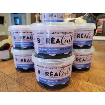 Blueberry farm yogurt