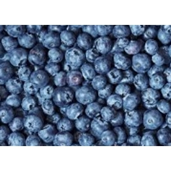 BLEUETS EN CORYMBE CULTIVÉS - BIO