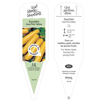 Plant Courge Easy Pick, jaune