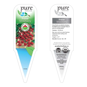 FRAISE BIOLOGIQUE EN POT