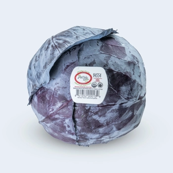 Chou rouge biologique