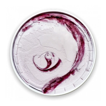 Double blueberry ice cream