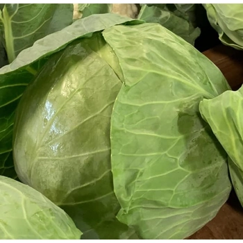 Choux verts