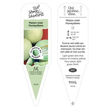Plant de Melon miel