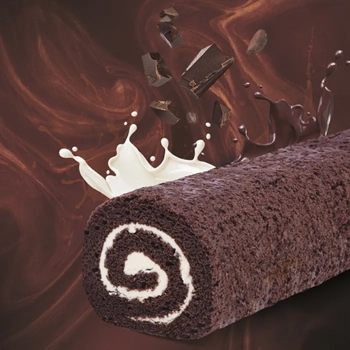 Roulé de bûche chocolat