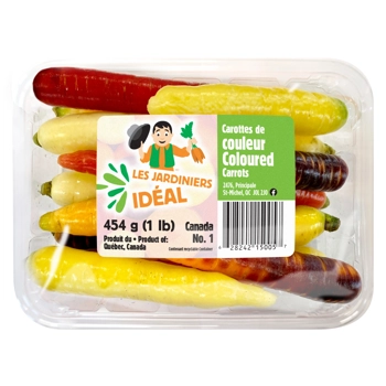 Carottes de couleurs