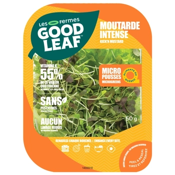 Moutarde Intense