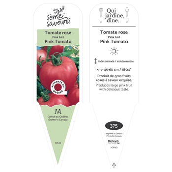 Plant de Tomate Pink Girl
