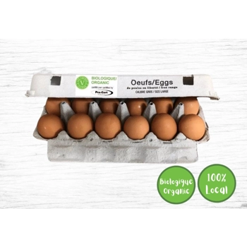 Œufs brun de poules en liberté biologiques